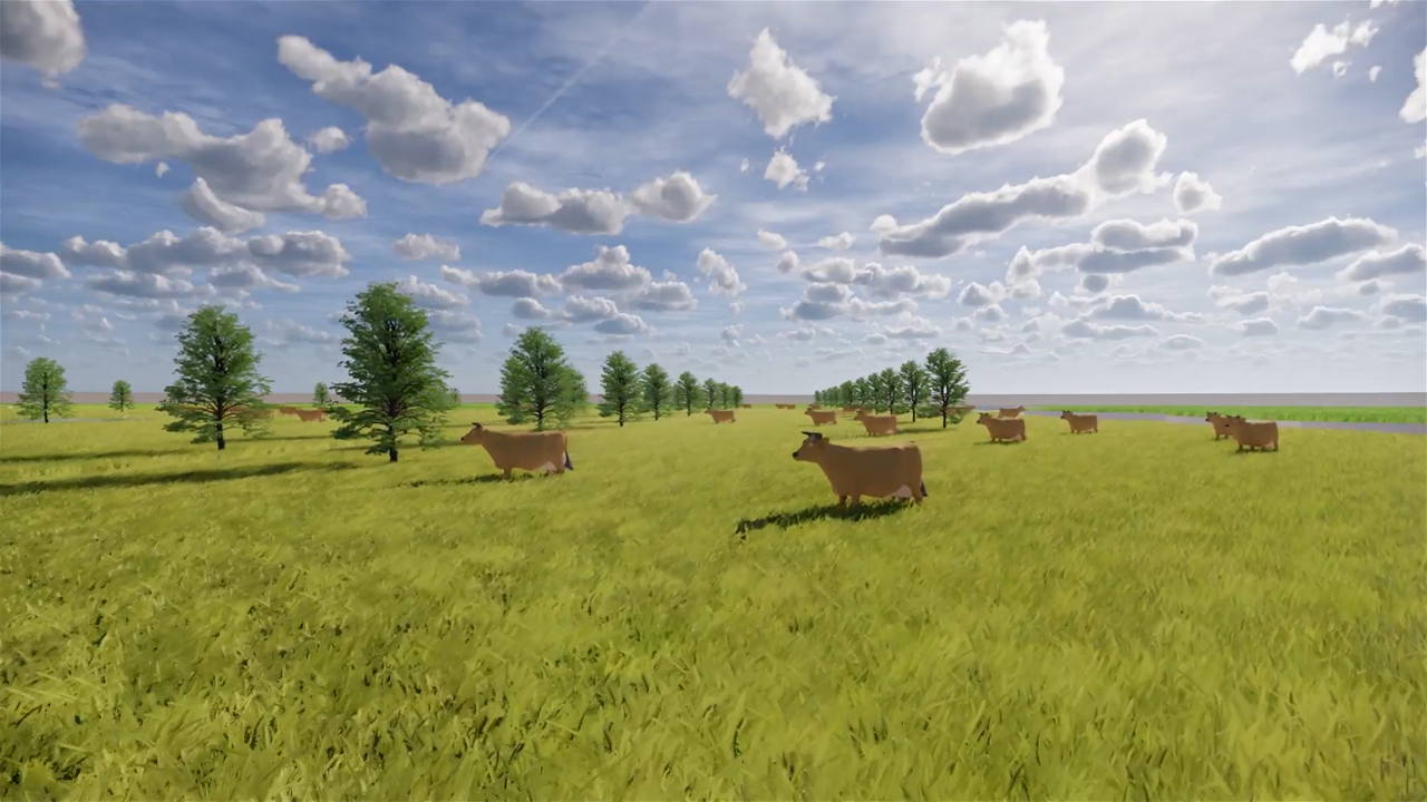 Integrated Beef Cattle Farming Agribusiness in East Nusa Tenggara Province