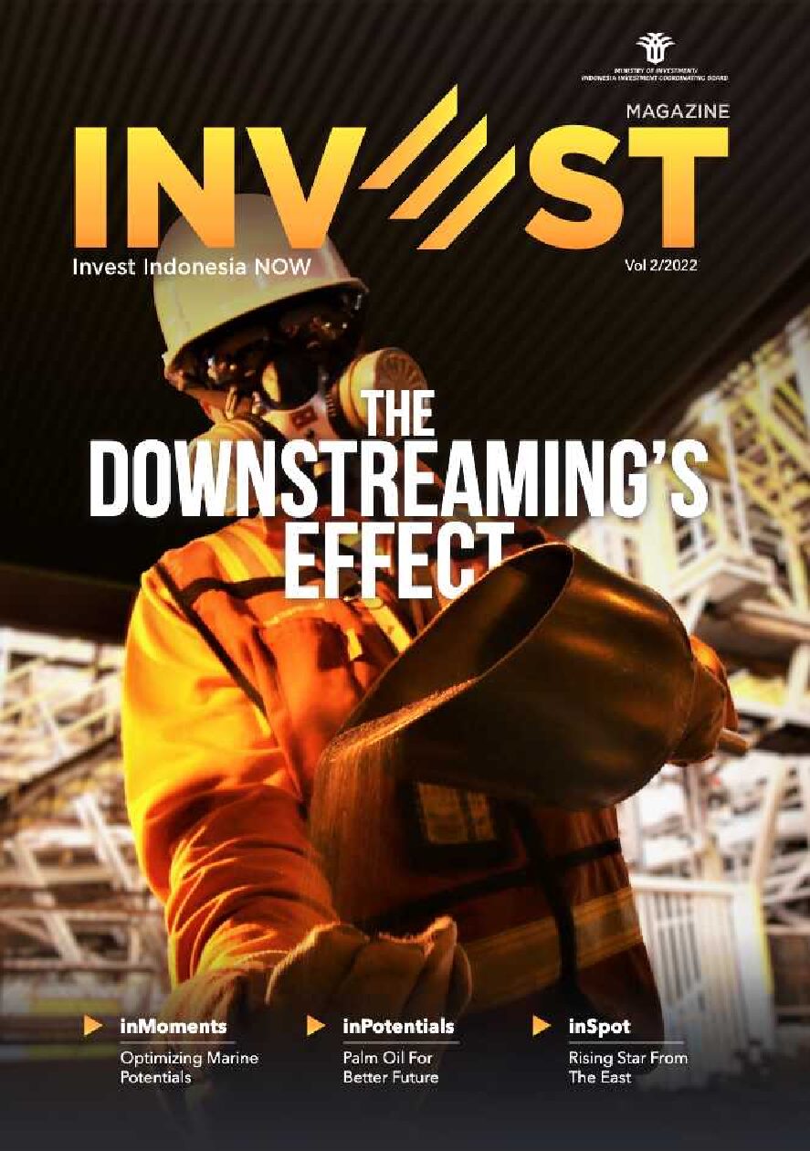 Crude Palm Oil (CPO) Downstream Industry Bulungan Regency North Kalimantan Indonesia